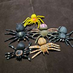 Фото отзыва 11157931