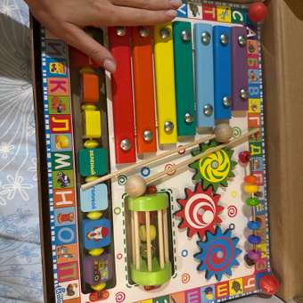 Игрушка Alatoys сортер Лев в ассортименте: отзыв пользователя Детский Мир