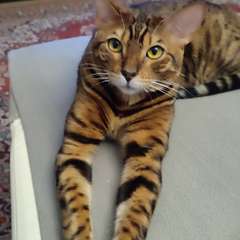 Фото отзыва 10892044