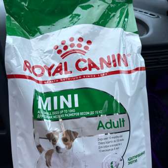 Корм для собак ROYAL CANIN мелких пород 4кг: отзыв пользователя. Зоомагазин Зоозавр