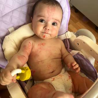 Стульчик для кормления Babyton Purple фиолетовый: отзыв пользователя Детский Мир