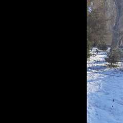 Фото отзыва 8248645