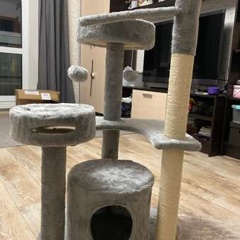 Когтеточка Не один дома замок 860222-06GR6sq: отзыв пользователя. Зоомагазин Зоозавр