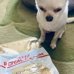 Фото отзыва 10953841