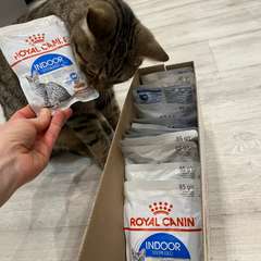 Фото отзыва 10695624