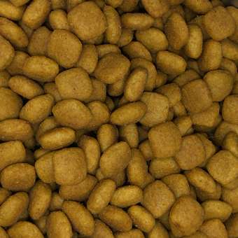 Корм для собак ROYAL CANIN Veterinary Diet Urinary S/O LP 18 при заболеваниях дистального отдела мочевыделительной системы 2кг: отзыв пользователя. Зоомагазин Зоозавр