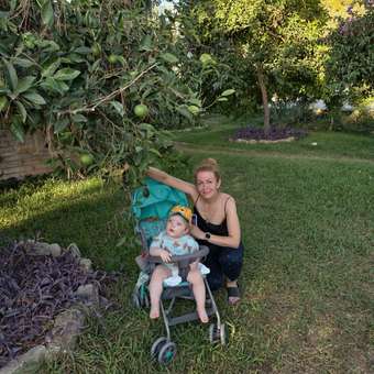 Коляска прогулочная Babyton Zoo Blue голубой: отзыв пользователя Детский Мир