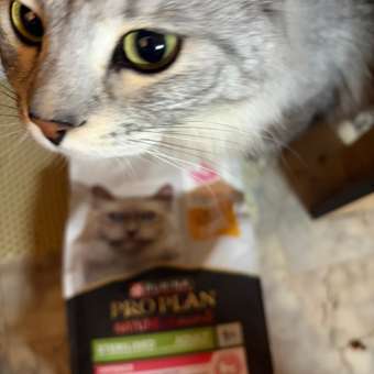 Корм сухой для кошек PRO PLAN Nature Elements 1.4 кг с курицей для стерилизованных: отзыв пользователя. Зоомагазин Зоозавр