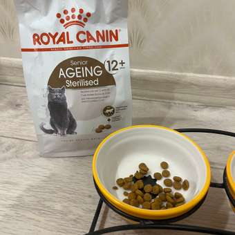 Корм сухой для кошек ROYAL CANIN Ageing Sterilised 400г пожилых стерилизованных: отзыв пользователя. Зоомагазин Зоозавр