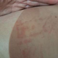 Фото отзыва 10169632