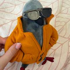 Фото отзыва 11033267