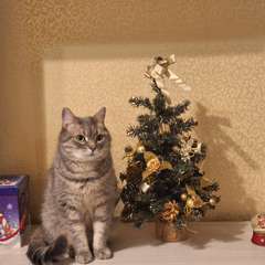 Фото отзыва 10776418