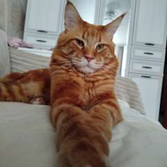 Фото отзыва 10918224