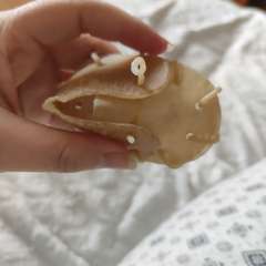 Фото отзыва 6788294