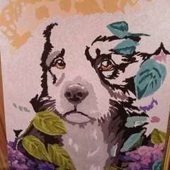 Фото отзыва 10152588