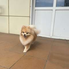 Фото отзыва 10486470