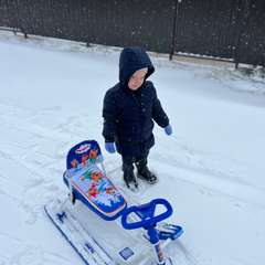 Фото отзыва 3411007