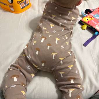 Комбинезон Mjolk: отзыв пользователя Детский Мир