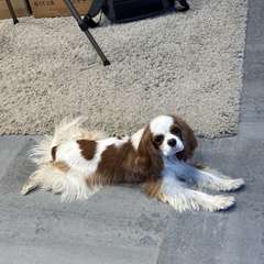 Фото отзыва 10772243