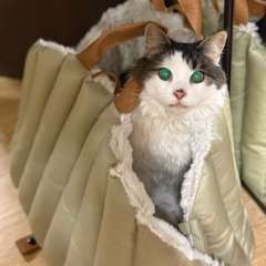 Фото отзыва 10573014