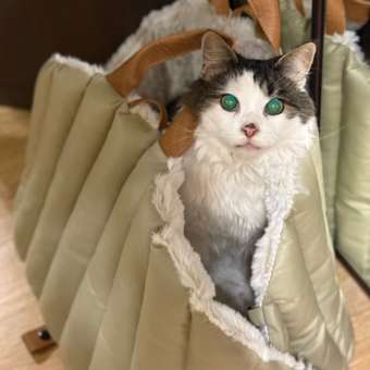 Сумка для животных с мехом Barbaks 50*30*35см: отзыв пользователя. Зоомагазин Зоозавр