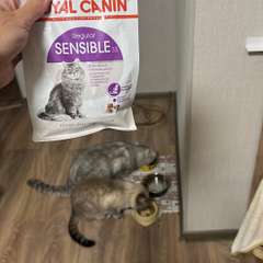 Фото отзыва 10474279