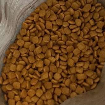 Корм для кошек ROYAL CANIN Neutered Satiety Balance стерилизованных 3.5кг: отзыв пользователя. Зоомагазин Зоозавр