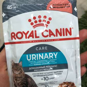 Корм для кошек ROYAL CANIN Urinary Care для поддержания здоровья мочевыделительной системы 85г: отзыв пользователя. Зоомагазин Зоозавр