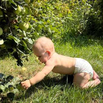 Трусики Pampers Pants 4 (9-15 кг) 46 шт.: отзыв пользователя Детский Мир