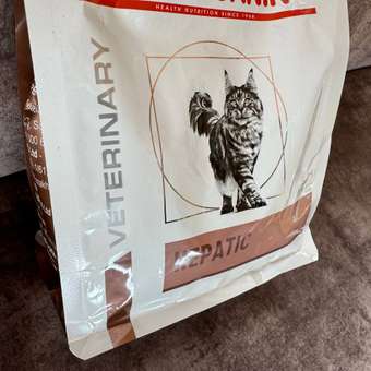 Корм для кошек ROYAL CANIN Hepatic для поддержания функции печени 350г: отзыв пользователя. Зоомагазин Зоозавр