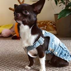 Фото отзыва 11078902