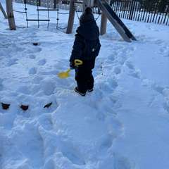 Фото отзыва 11058610