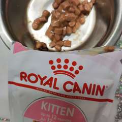 Фото отзыва 10465363