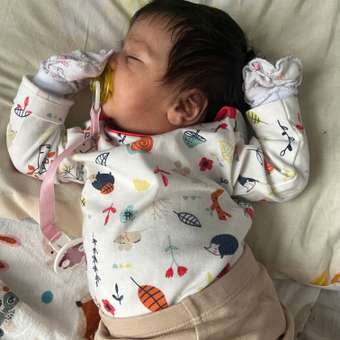 Пустышка Canpol Babies латекс анатомическая от 0 мес.: отзыв пользователя ДетМир
