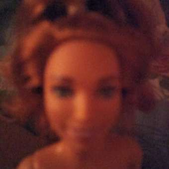 Кукла модельная Barbie Fashionistas: отзыв пользователя Детский Мир