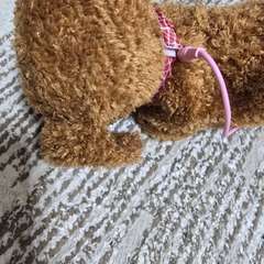 Фото отзыва 10838483