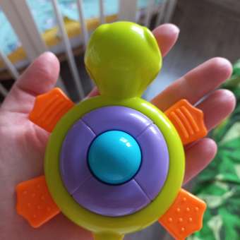 Игрушка BabyGo Черепашка: отзыв пользователя ДетМир