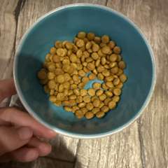 Фото отзыва 10713102