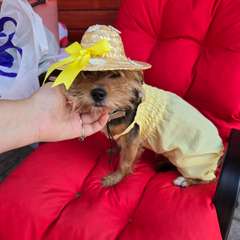 Фото отзыва 10043205