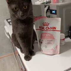 Фото отзыва 10675442