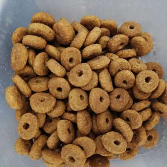 Корм для кошек ROYAL CANIN Appetite Control Care для контроля выпрашивания корма 400г: отзыв пользователя. Зоомагазин Зоозавр