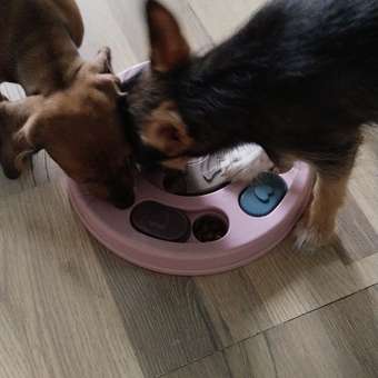 Корм для щенков ROYAL CANIN Puppy мелких пород 4кг: отзыв пользователя. Зоомагазин Зоозавр
