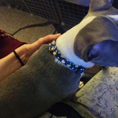 Фото отзыва 10829431