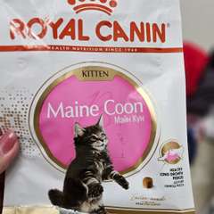 Фото отзыва 10776056