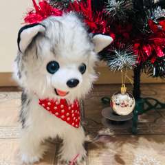 Фото отзыва 10841129