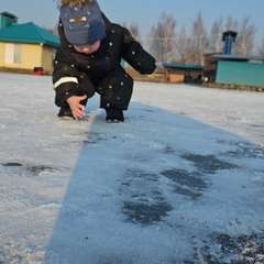 Фото отзыва 8414826