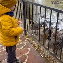 Видео отзыва 7639866