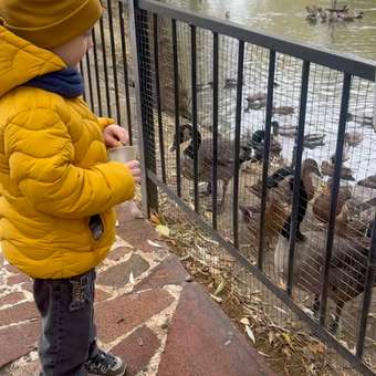 Куртка Futurino Fashion: отзыв пользователя Детский Мир