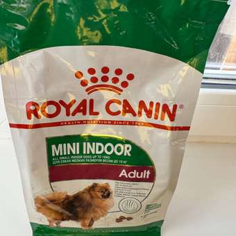 Корм для собак ROYAL CANIN малых пород живущих преимущественно в домашних условиях 500г: отзыв пользователя. Зоомагазин Зоозавр