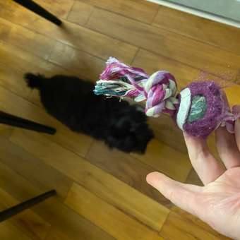 Игрушка для собак Triol Mini dogs Веревка с 2 узлами и мячом 20см: отзыв пользователя. Зоомагазин Зоозавр